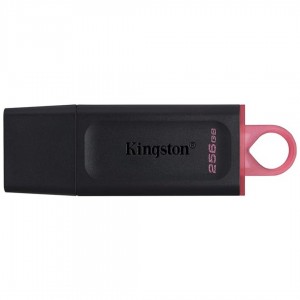 كينجستون داتا ترافيلر اكسوديا Kingston USB DTX/64GB