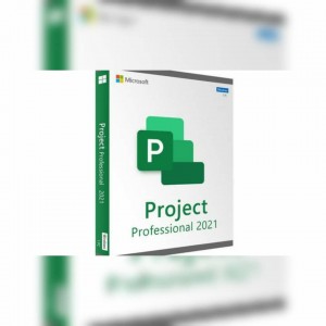 Microsoft Project Pro 2021 O