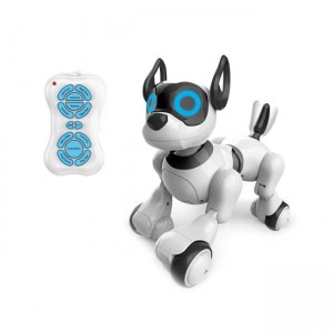 smart dog