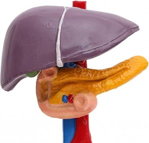 Unknown Product