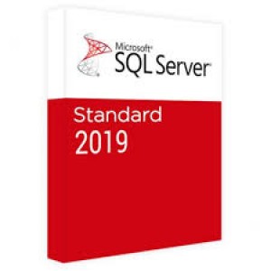 Microsoft Windows SQL server 2019 standard