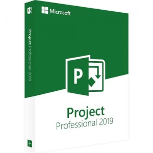 Microsoft Project Pro 2019 B