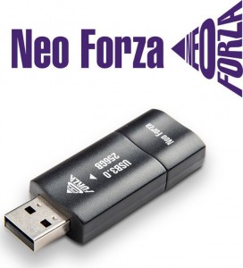 فلاشة نيو فورزا NEO FORZA NFUB01 USB 3.0 pen drive 256GB