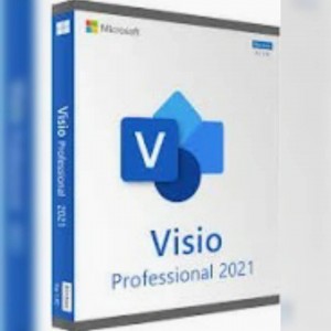 Microsoft Visio Pro 2021 O