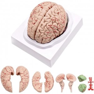 Unknown Product