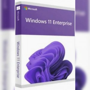 Microsoft Windows 11 Enterprise