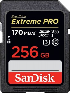 كرت ذاكرة سانديسك sandisk SD C10 256g 170/s 4K