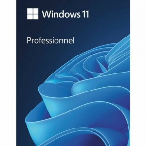 Microsoft Windows 11 Professional