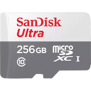 كرت ذاكرة سانديسك sandisk Micro SD C10 256g 100/s
